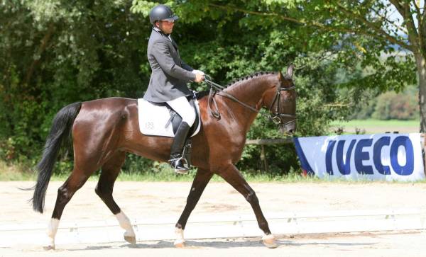 Unisono Dressur 4.JPG