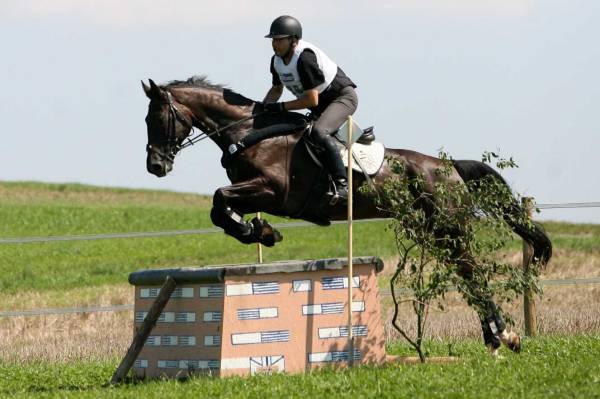 Unisono Gelnde 3.JPG