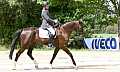 Unisono Dressur 4.JPG