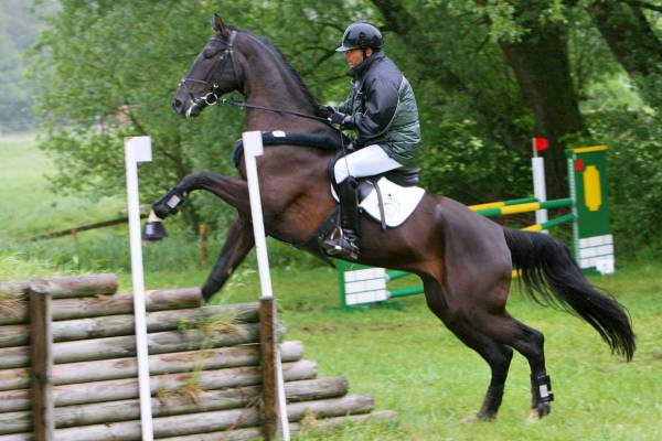 Steinsee-Derby 3.JPG