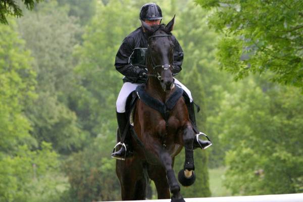 Steinsee-Derby 4.JPG