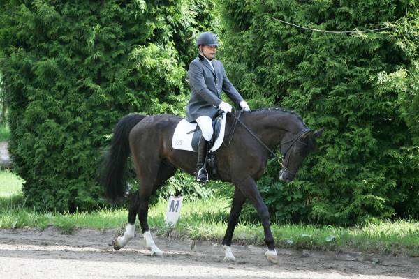 Unisono Dressur 1.JPG