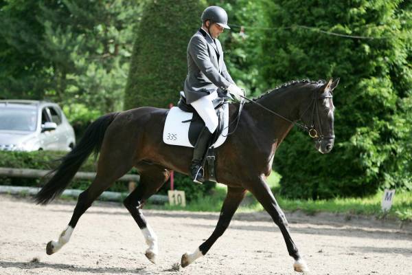 Unisono Dressur 2.JPG